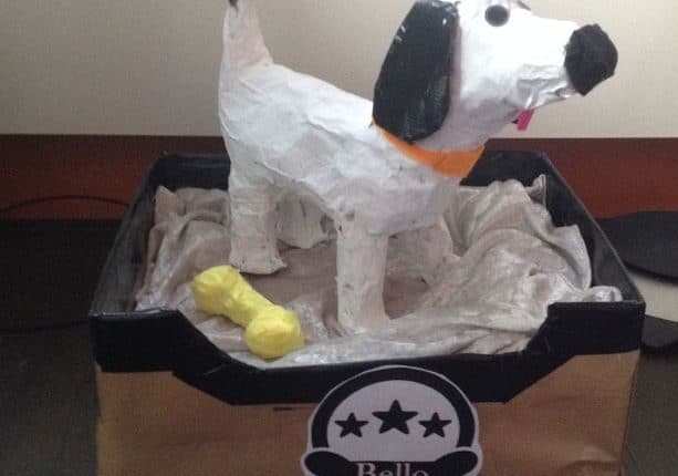 Surprise: maak je een honden Sinterklaas suprise van papier maché